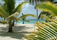 Beach of the Hotel CASA GRANDE BEACH - Las Terrenas - Dominican Republic